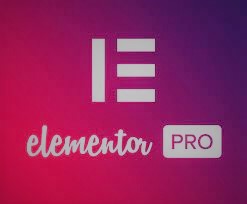 elementor Pro